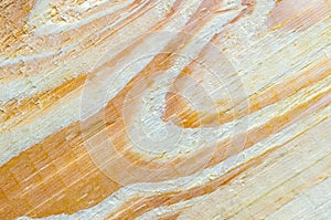 Top view macro natural pine wooden texture
