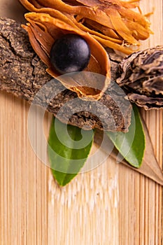 Top view macro shot of herbal pills and tablets arranged with spices on a red stone. Unani medicines concept