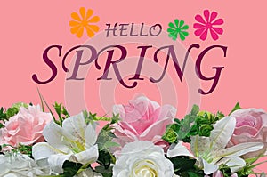 Top view, Made design hello spring written on it with flower isolated on pastel magenta background for design or stock photo,