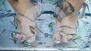 Top view on male feet in water with fish. Fish pedicure by garra rufa. Foot care with natural peeling and massage. Skin