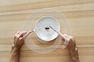 Top view, a man eating a cockroach. Cockroach in a white plate on the kitchen table. Strange taste preferences