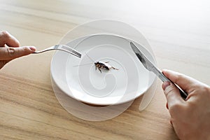 Top view, a man eating a cockroach. Cockroach in a white plate on the kitchen table. Strange taste preferences