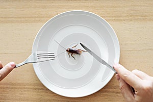 Top view, a man eating a cockroach. Cockroach in a white plate on the kitchen table. Strange taste preferences