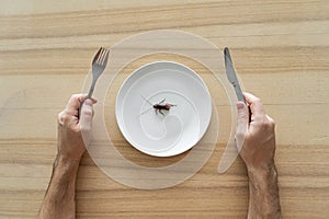 Top view, a man eating a cockroach. Cockroach in a white plate on the kitchen table. Strange taste preferences