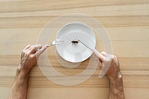 Top view, a man eating a cockroach. Cockroach in a white plate on the kitchen table. Strange taste preferences