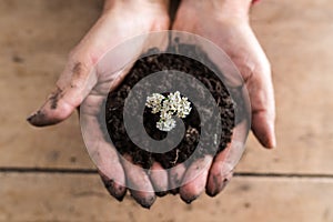 Top view of a man holding a handful of rich fertile soil with a