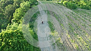 Top view of a man on a motorcycle on the road