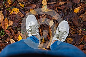 Top view of a man`s shoes on a layer of yellow autumn leaves fallen from the trees, autumn photo of the change of season. autumn