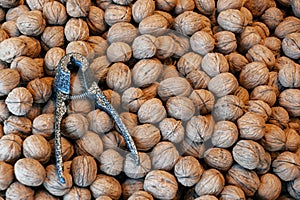 Top view of many inshell walnuts