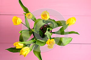 Top view of many small vivid yellow tulip flowers and green leaves in a vase on a pink painted table , beautiful indoor floral bac
