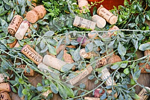Top view of many wine corks of different brands
