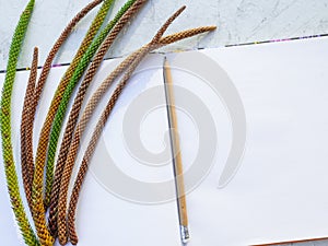 Top view of a marble pattern table with a blank notepad, pencil and long pine cones on it