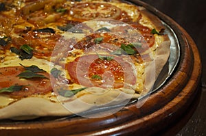 Top view of marguerita pizza. pizza marguerita on the table.