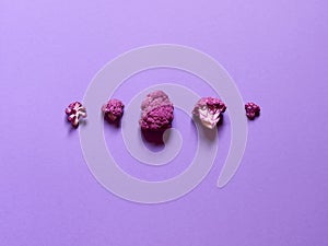 Top view of a minimalistic violet or purple cauliflower over a violet or purple background