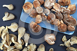 Top view of mixture of raw fresh `Pleurotus Ostreatus` oyster mushrooms and  `Lentinula Edodes` Shiitake mushrooms