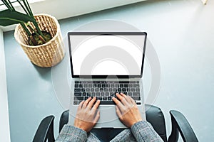 A woman using and typing on laptop computer  with blank white desktop screen in office