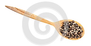 Top view of monk`s pepper vitex in wood spoon photo