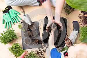 Top view of a mother and child preparing soil for seeds. Hobbies at home and learning botany