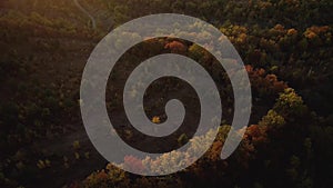 Top view of the mountain forest in autumn. Shot. Beautiful orange and red autumn forest, many trees on the orange hills