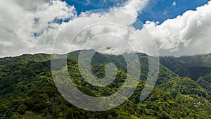 Top view of Mountain slopes covered with rainforest.