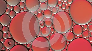 Top view movement of bubbles in the liquid. Oil surface multicolored background. Fantastic structure of colorful bubbles. Colorful