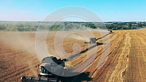 Top view of multiple combines reaping rye in the field