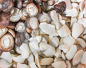 Top view of mushrooms.