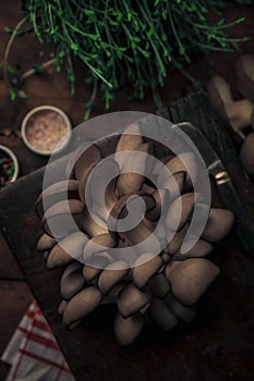 Top view of mushrooms on top of chopper with penknife