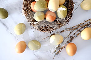 Top view of a nest of twigs inside with yellow, green and light green easter eggs