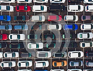 Top view of new cars lined up outside an automobile factory for import export.