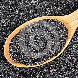 Top view of niger seeds in wood spoon closeup photo