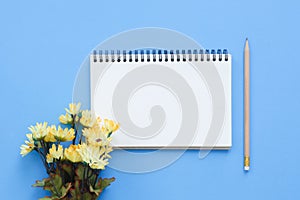 Top view office desk with open mock up notebooks and pencil and plant on blue pastel color background.