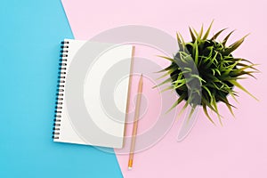 Top view office desk with open mock up notebooks and pencil and plant on pastel color background.