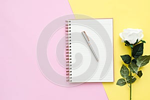 Top view office desk with open mock up notebooks and pencil and plant on pink yellow pastel color background.