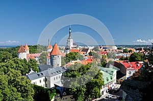 Top view on old city in Tallinn Estonia