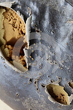 Top view of old motorcycle seat surface, torn leather seats, visible sponge image for vintage background.