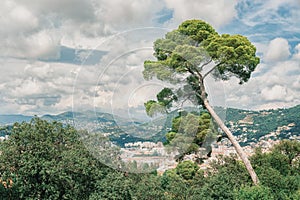 Top view of the old town of Nice seen from the hill Colline du ChÃ¢teau