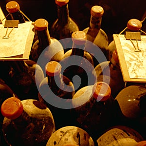 Top view of old vine bottles