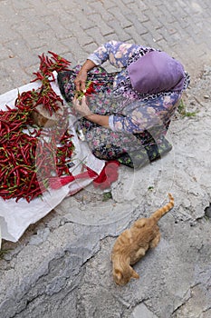 Top view of an old woman array and arrange long red pepper to hang and dry. Sewing needle and thread is required for hanging
