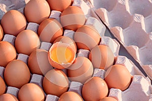Top view of one Cracked Egg with Yolk on top of fresh brown Chicken Eggs in Carton egg Tray, Raw organic food background