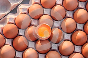 Top view of one Cracked Egg with Yolk on top of fresh brown Chicken Eggs in Carton egg Tray, Raw organic food background