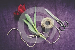 Top view of one red tulip tied with twine