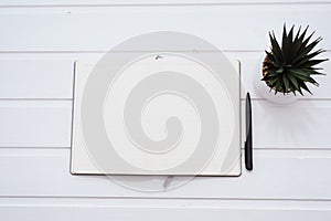 Top view open notebook, pen and plant potted on white desk background