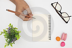 Top view open notebook, pencil, plant potted, glasses and macaroon on white desk background