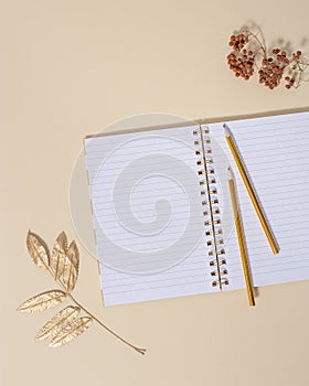 Top view of open school notebook with blank pages and pencils for writing notes. Creative workspace at home