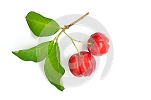 Top view of Organic acerola cherry photo