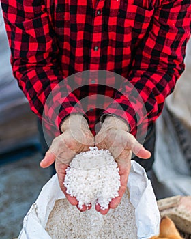 Top view of Organic composted soil amendments in two hands of a person wearing a red checks shirt