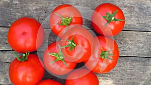 Top view. Organic Ripe Red Tomatoes. Natural Tomato Harvest on Wood Texture Background.