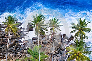 Top view of palm trees and a rocky shore. Sea waves are breaking on the rocks on the beach. Sri Lanka