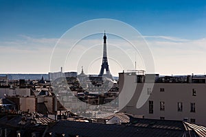 Top view of Paris. Cityscape with Eiffel Tower
